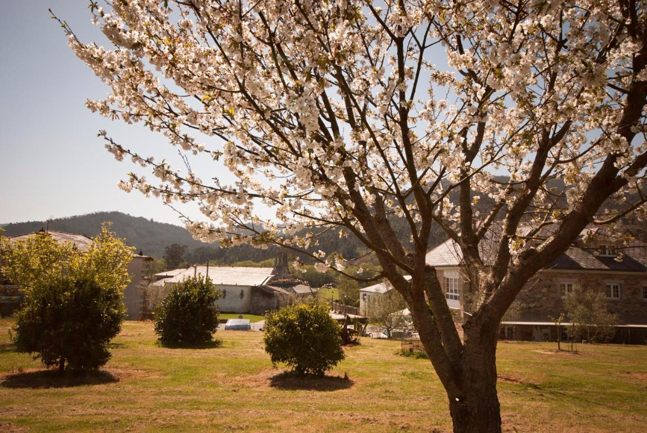 As Vinas Viveiro Exterior foto